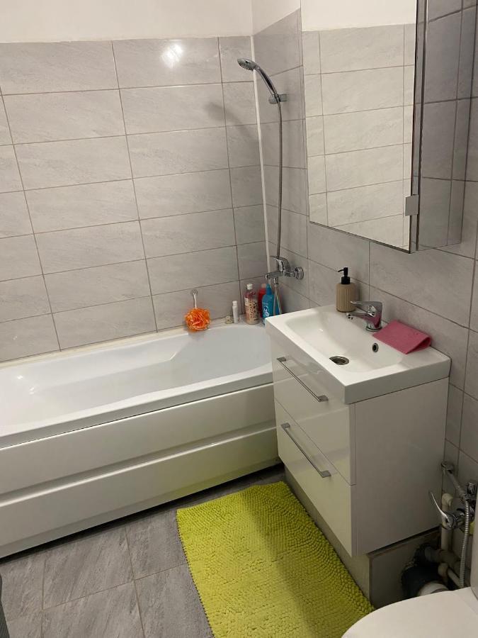 Alesandru Apartament Piteşti Exterior foto