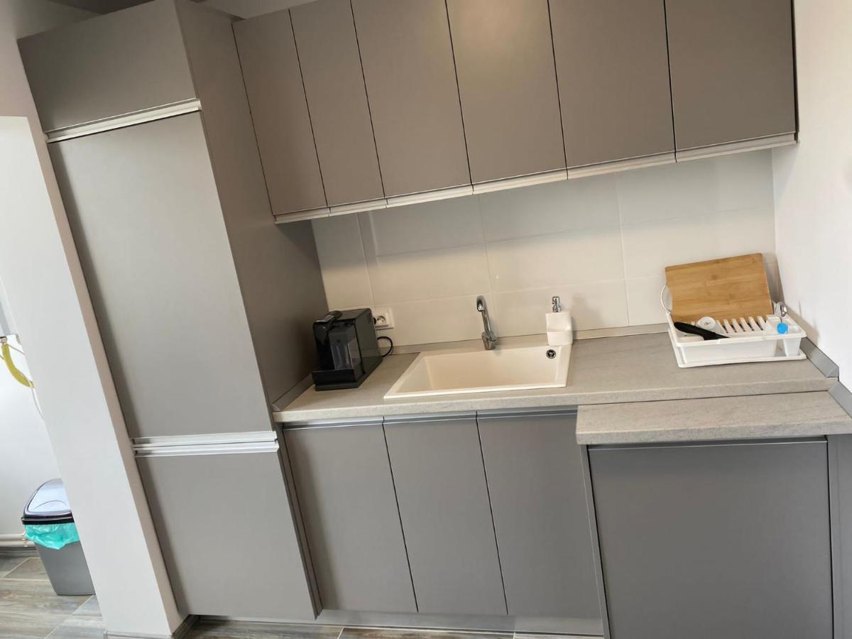 Alesandru Apartament Piteşti Exterior foto