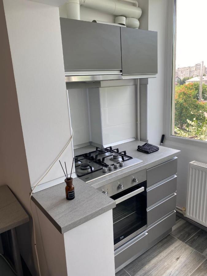 Alesandru Apartament Piteşti Exterior foto